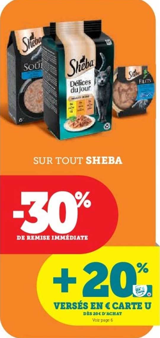 SUR TOUT SHEBA