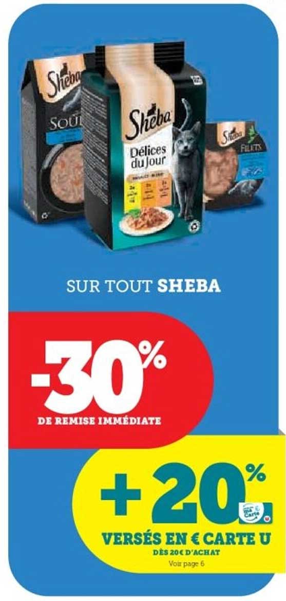 SUR TOUT SHEBA