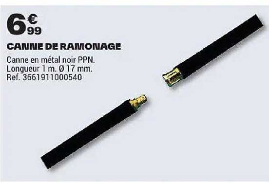 CANNE DE RAMONAGE