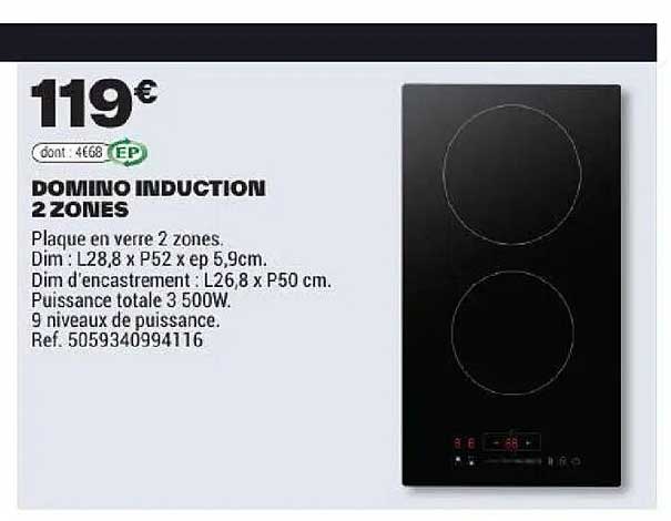 DOMINO INDUCTION 2 ZONES