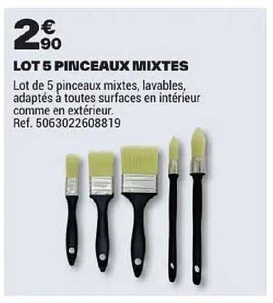 LOT 5 PINCEAUX MIXTES