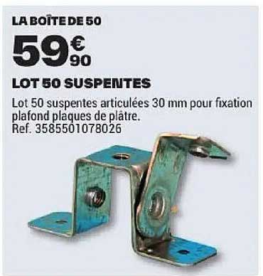LOT 50 SUSPENTES