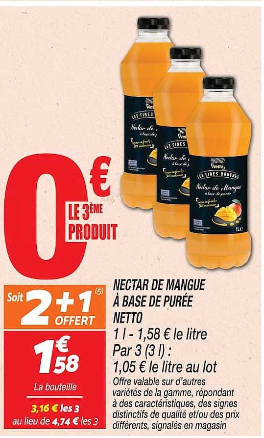 NECTAR DE MANGUE À BASE DE PURÉE NETTO