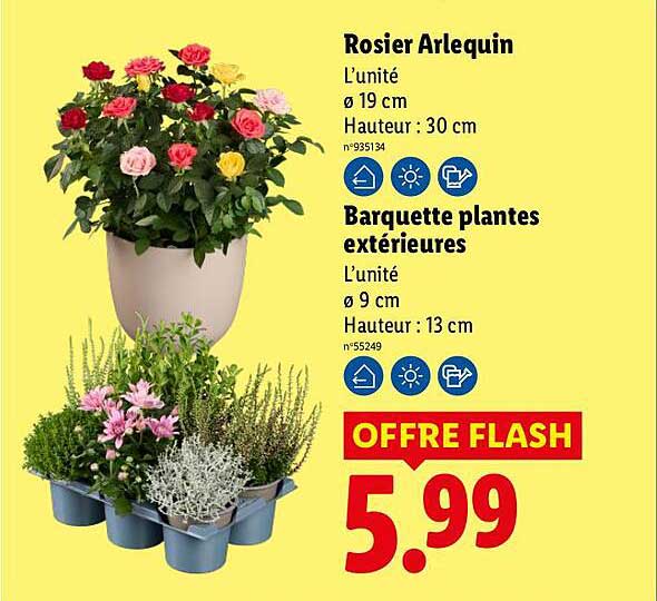 OFFRE FLASH