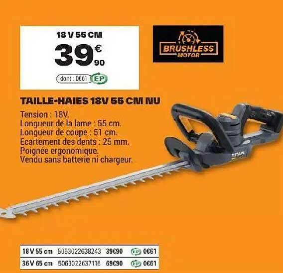TAILLE-HAIES 18V 55 CM NU