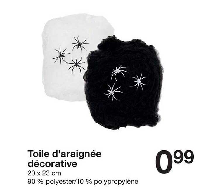 Toile d'araignée décorative