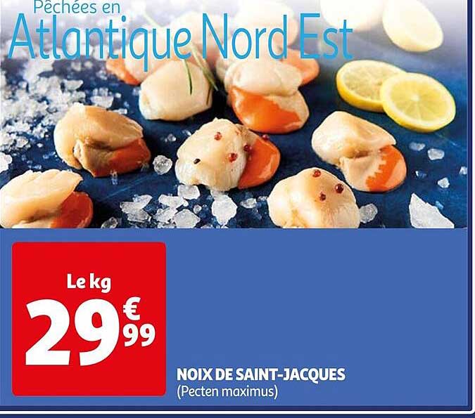NOIX DE SAINT-JACQUES