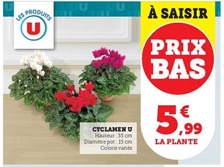 À SAISIR