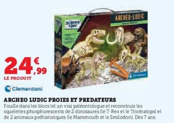 ARCHEO LUDIC PROIES ET PREDATEURS