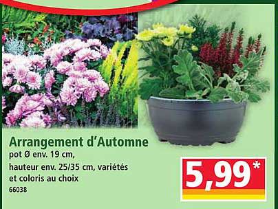 Arrangement d'Automne
