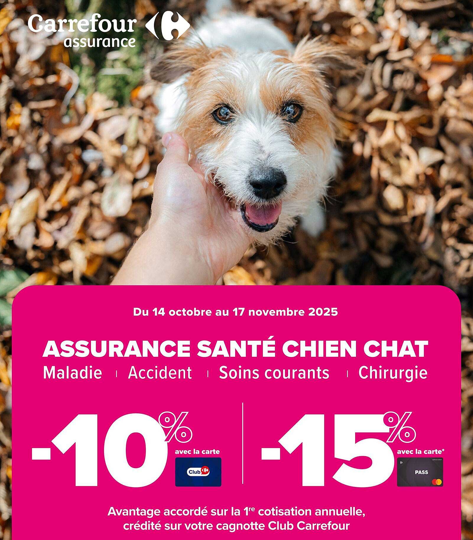 ASSURANCE SANTÉ CHIEN CHAT