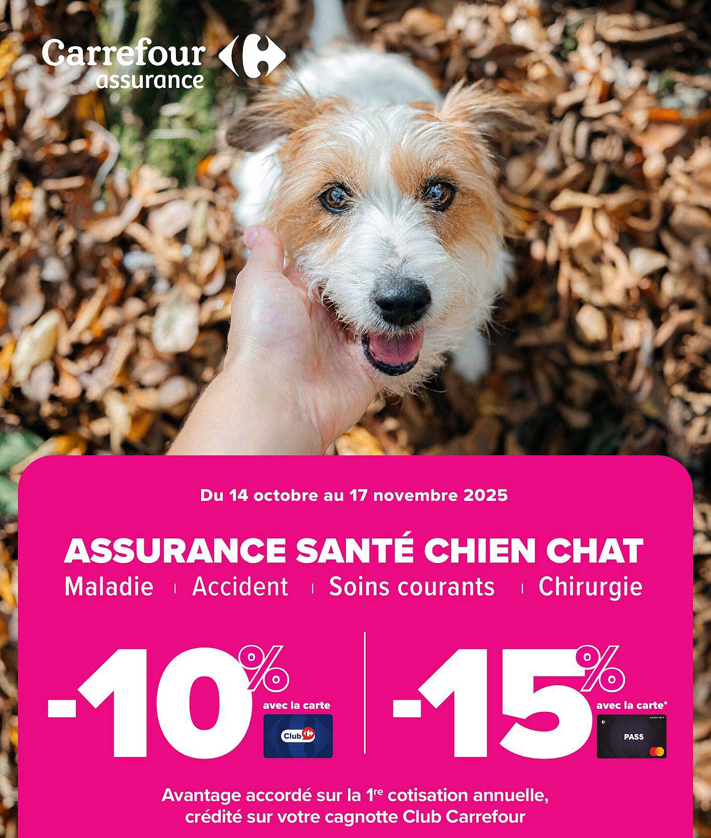 ASSURANCE SANTÉ CHIEN CHAT