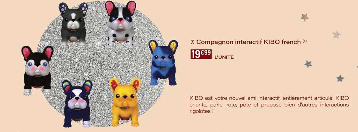Compagnon interactif KIBO french