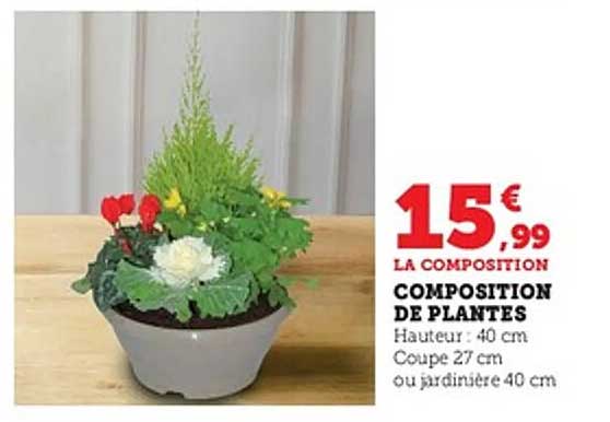 COMPOSITION DE PLANTES