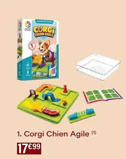 Corgi Chien Agile