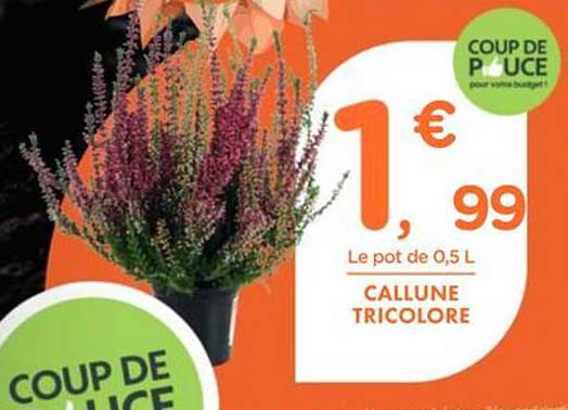 Coup de Pouce