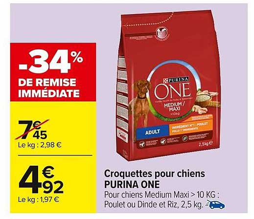 Croquettes pour chiens PURINA ONE