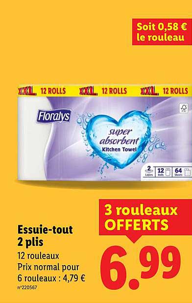 Essuie-tout 2 plis