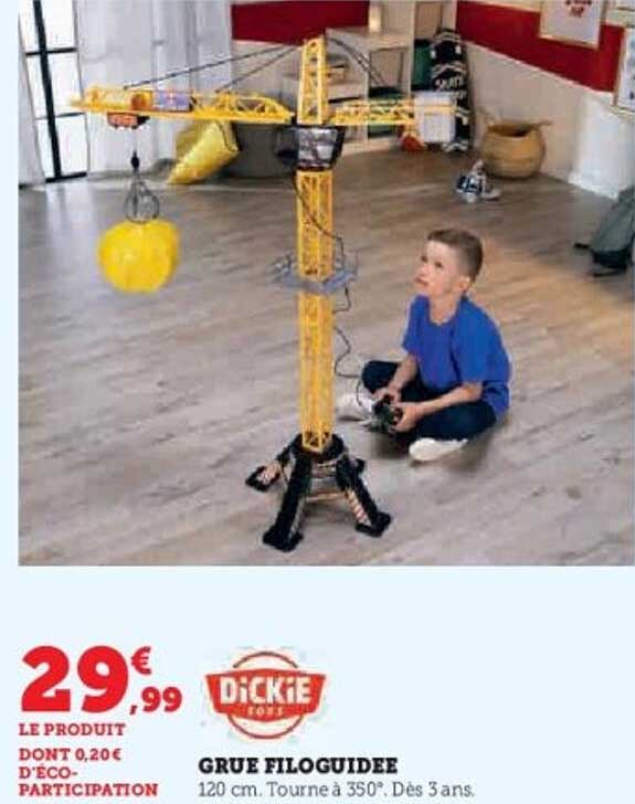 GRUE FILOGUIDEE