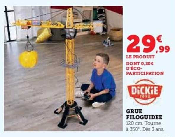 GRUE FILOGUIDEE