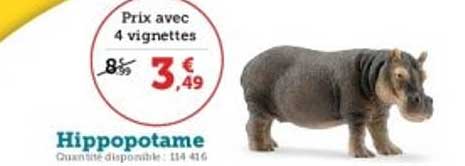 Hippopotame