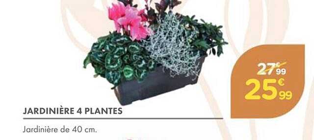 JARDINIÈRE 4 PLANTES