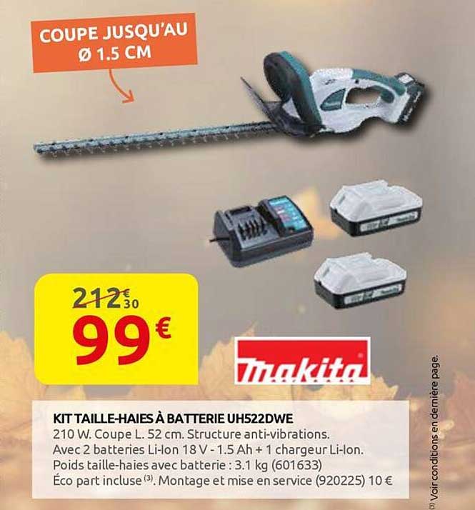 KIT TAILLE-HAIES À BATTERIE UH522DWE