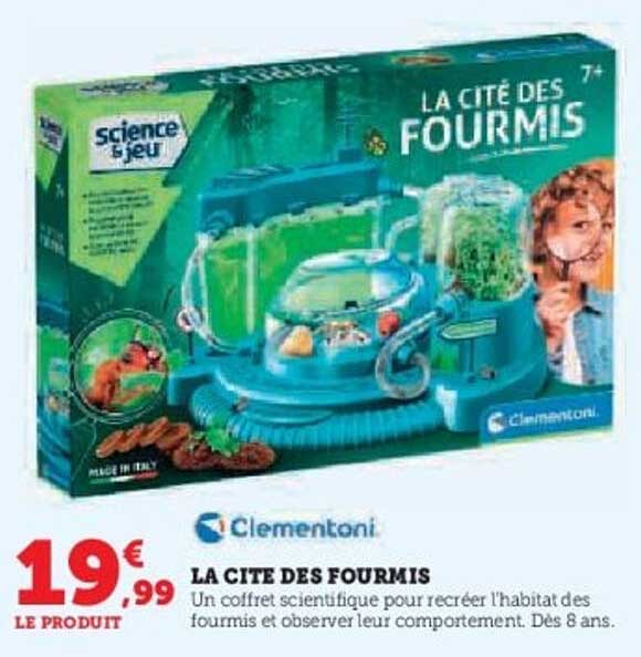 LA CITE DES FOURMIS