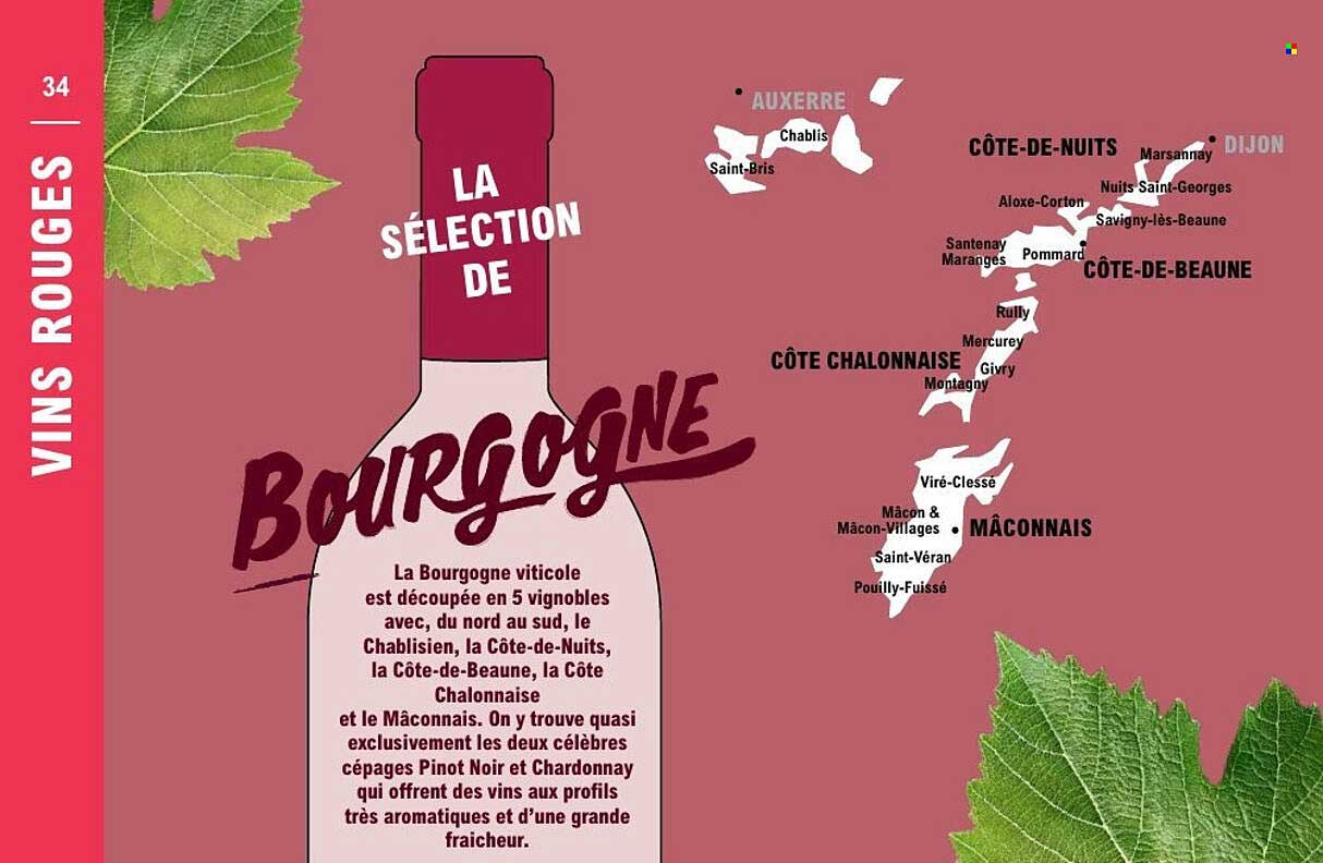 LA SÉLECTION DE BOURGOGNE