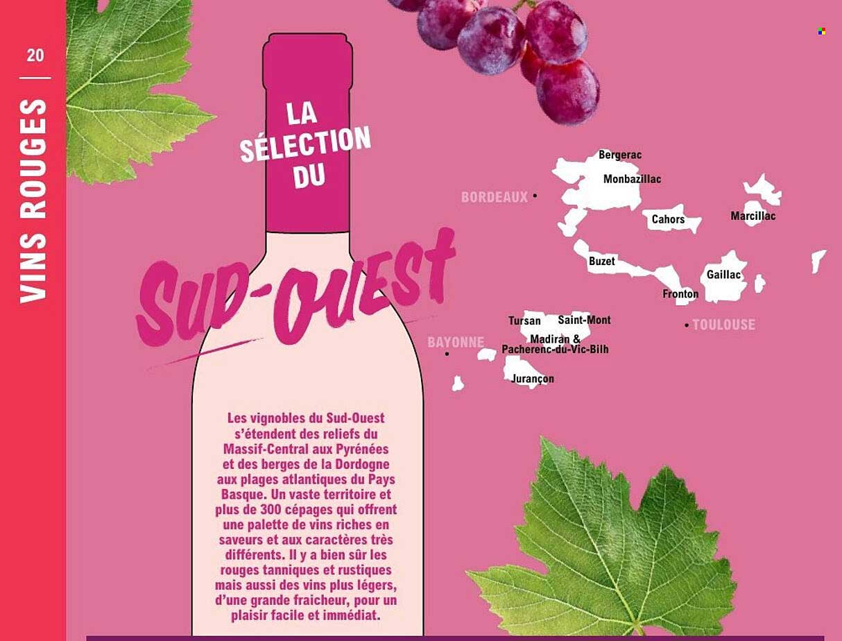 LA SÉLECTION DU SUD-OUEST