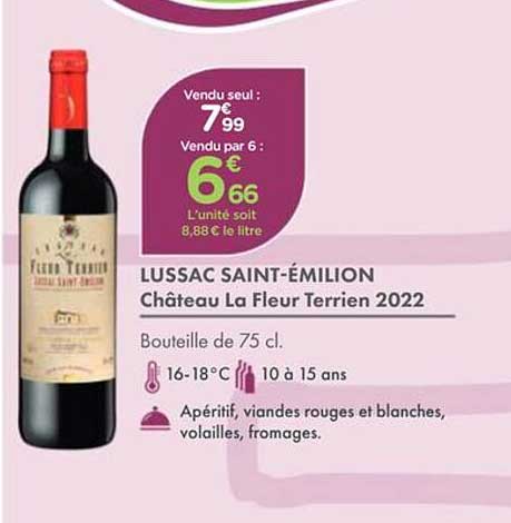 LUSSAC SAINT-ÉMILION Château La Fleur Terrien 2022