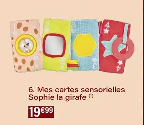 Mes cartes sensorielles Sophie la girafe