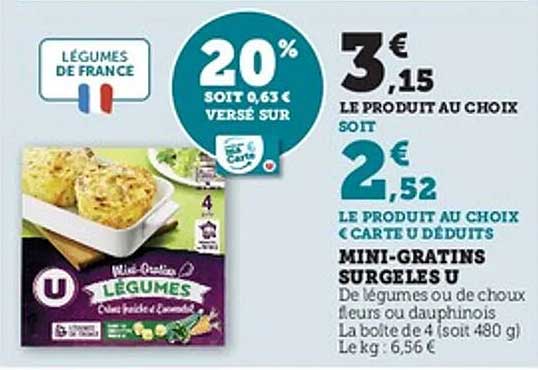 MINI-GRATINS SURGELÉS U