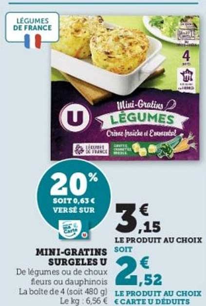 MINI-GRATINS SURGELES U