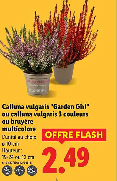 OFFRE FLASH