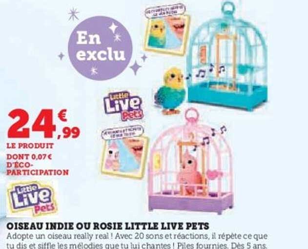 OISEAU INDIE OU ROSIE LITTLE LIVE PETS
