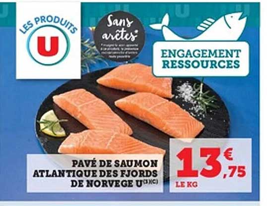 Pavé de Saumon Atlantique des Fjords de Norvège U