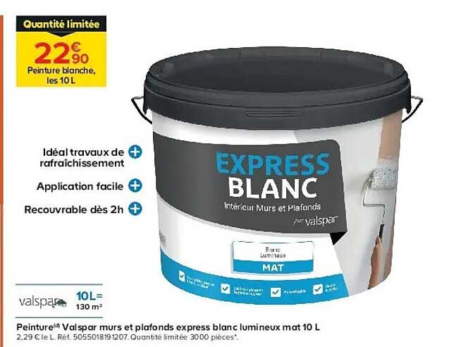 Peinture blanche, les 10L