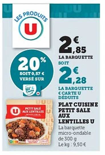 PLAT CUISINE PETIT SALE AUX LENTILLES U