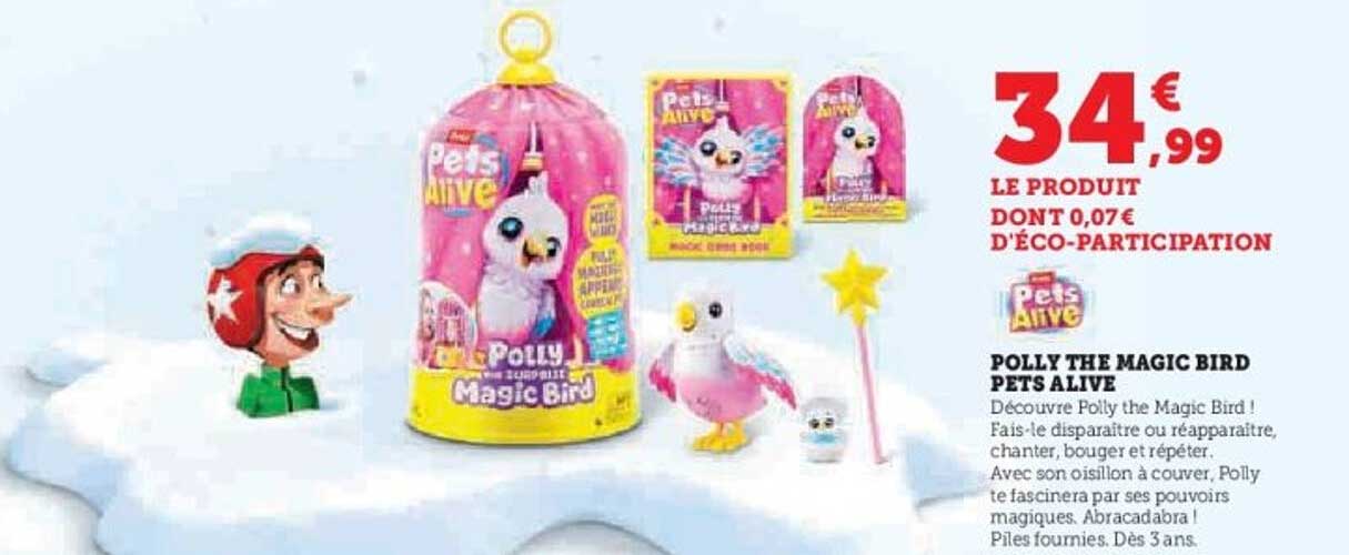 POLLY THE MAGIC BIRD PETS ALIVE