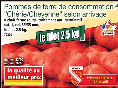 Pommes de terre de consommation "Chérie/Cheyenne" selon arrivage