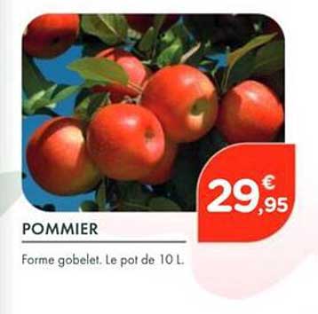 POMMIER
