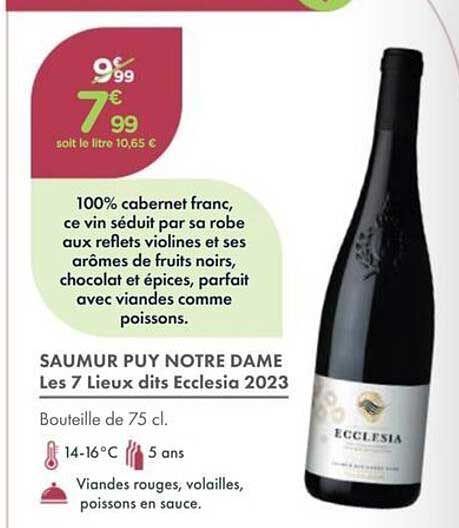 SAUMUR PUY NOTRE DAME Les 7 Lieux dits Ecclesia 2023