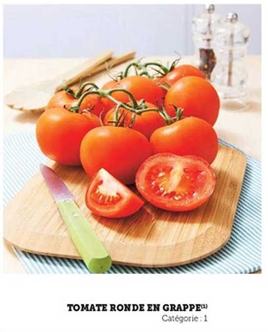 TOMATE RONDE EN GRAPPE