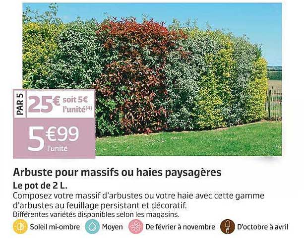 Arbuste pour massifs ou haies paysagères