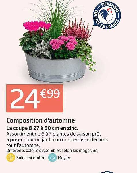 Composition d'automne