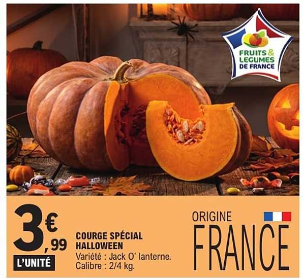 COURGE SPÉCIAL HALLOWEEN