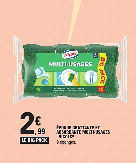 ÉPONGE GRATTANTE ET ABSORBANTE MULTI-USAGES “NICOLS”