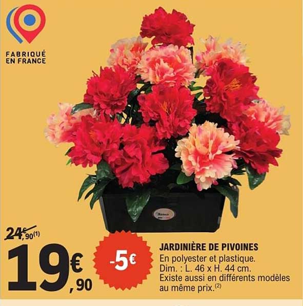 JARDINIÈRE DE PIVOINES