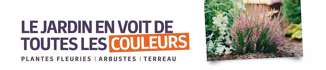 LE JARDIN EN VOIT DE TOUTES LES COULEURS